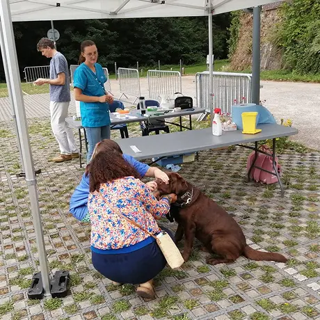 Stop aux déjections canines !