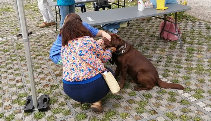 Stop aux déjections canines !