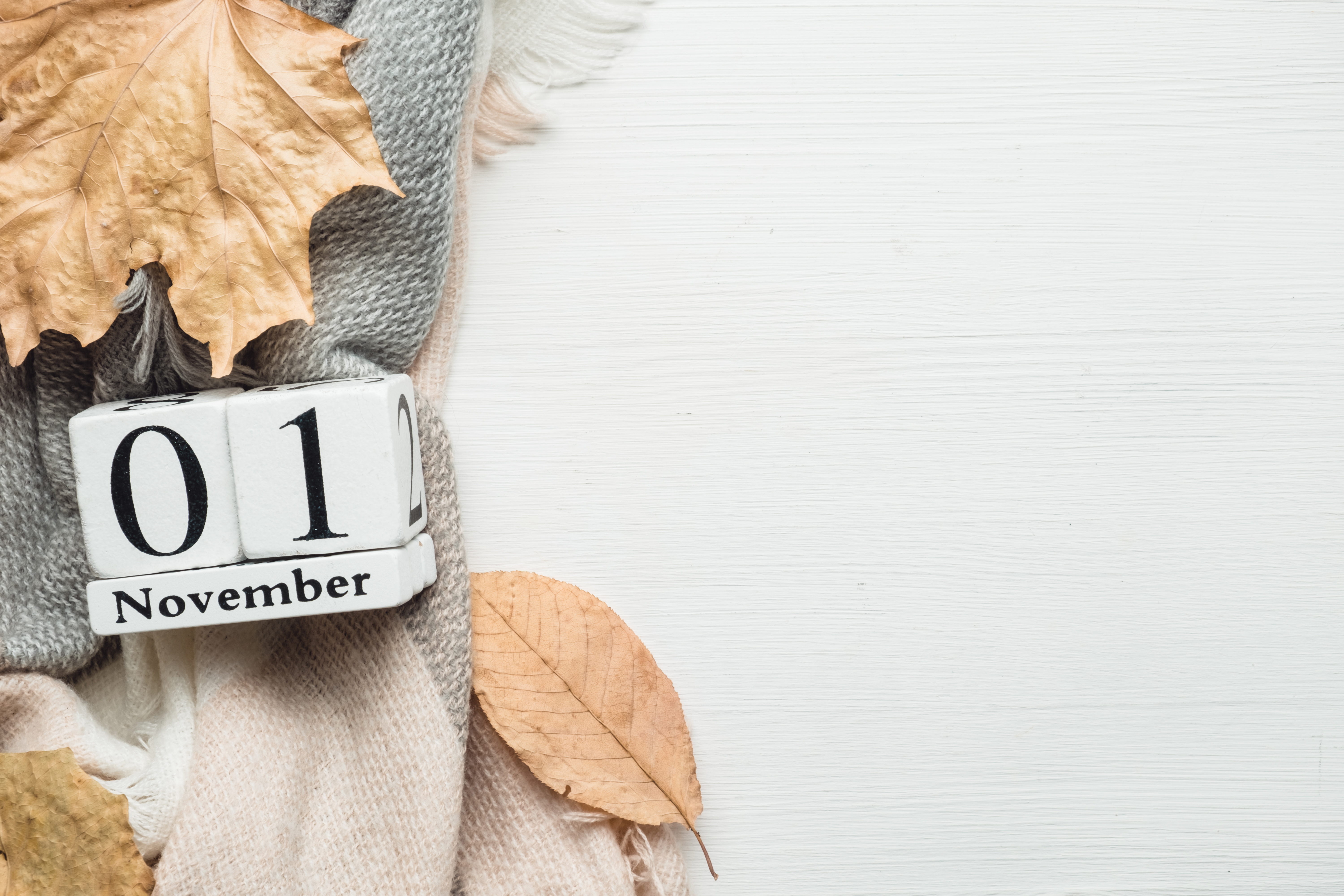 Image présentation Cérémonie du 1er novembre