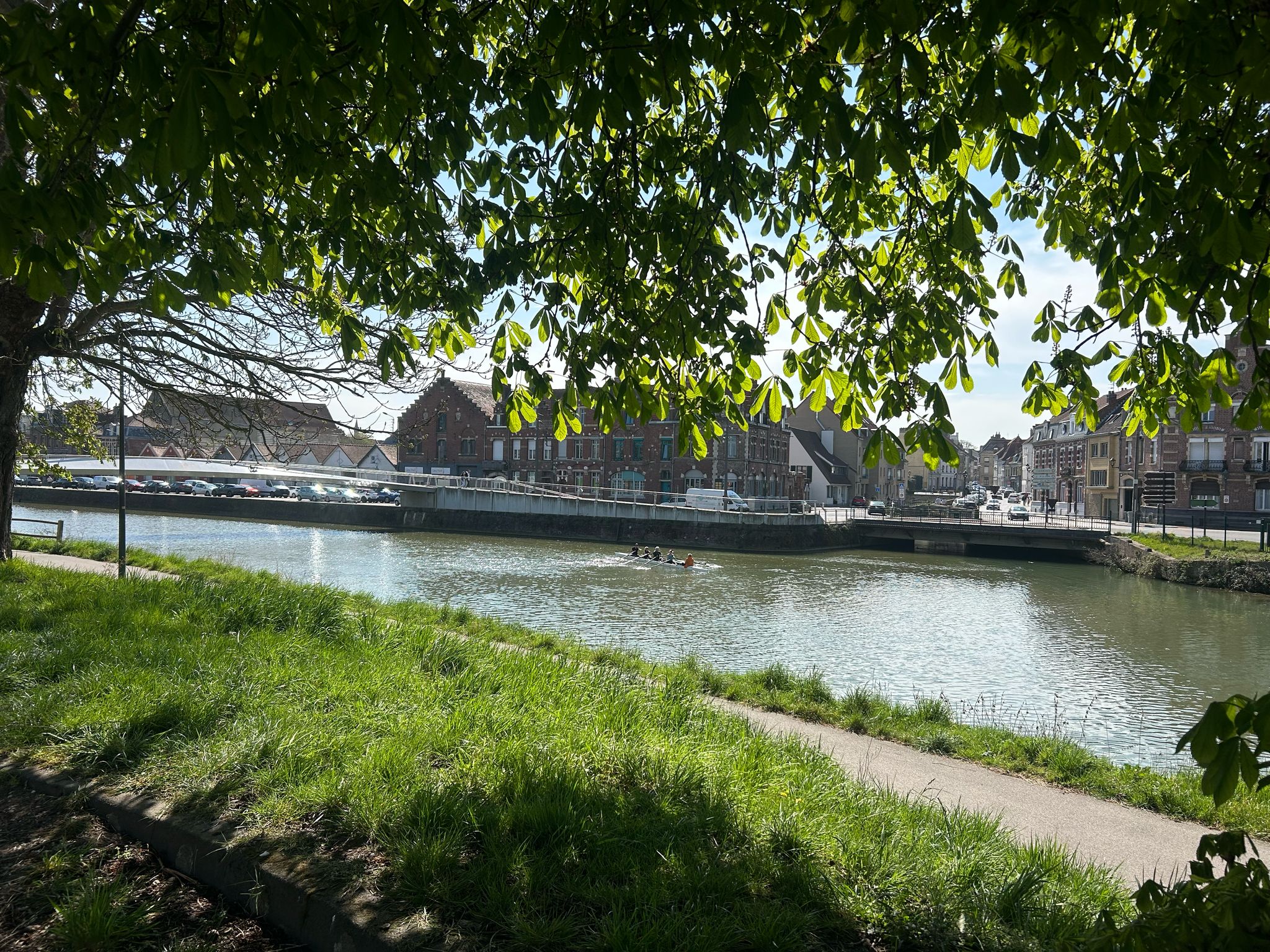 Image présentation Appel à manifestation d'intêret - Allée des Marronniers