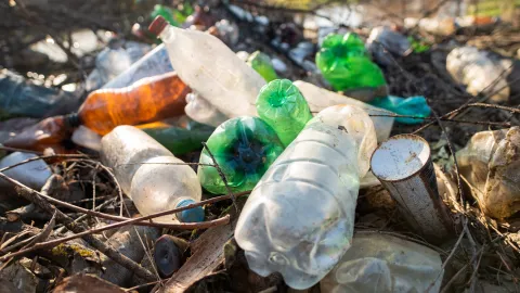 Déchets